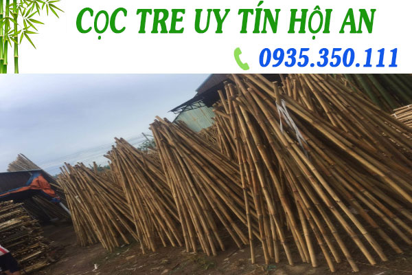 cọc tre công trình tại Hội An